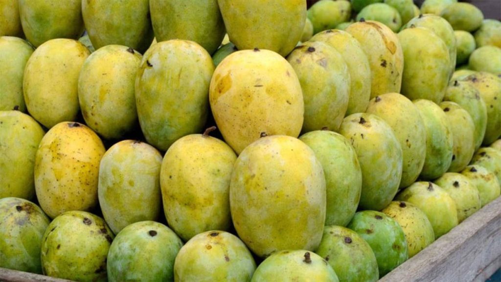 के भारतबाट आउने आँपमा पूर्ण प्रतिबन्ध लगाइएको हो ?